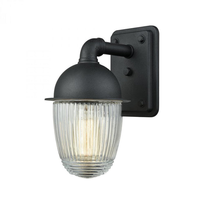 Elk Channing 1 Light Outdoor Wall Lamp In Matte Model: 45250/1