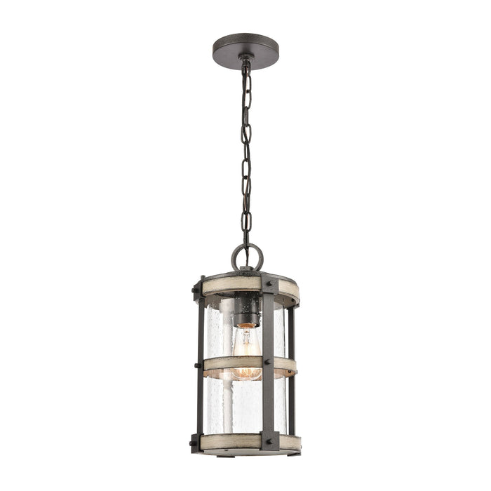 Elk Crenshaw 1 Light Outdoor Pendant In Anvil Model: 89147/1