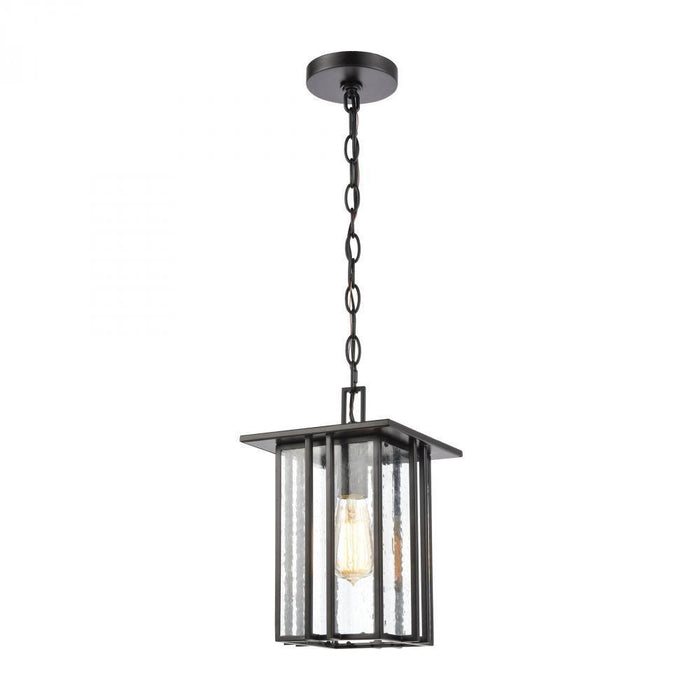 Elk Radnor 1 Light Hanging In Matte Black With Model: 46693/1