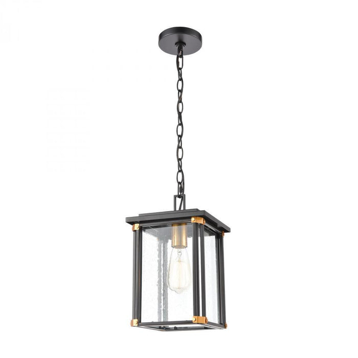 Elk Vincentown 1 Light Hanging In Matte Black Model: 46723/1