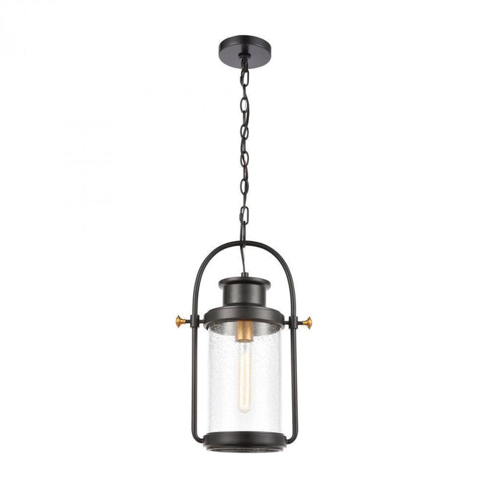 Elk Wexford 1 Light Hanging In Matte Black With Model: 46672/1