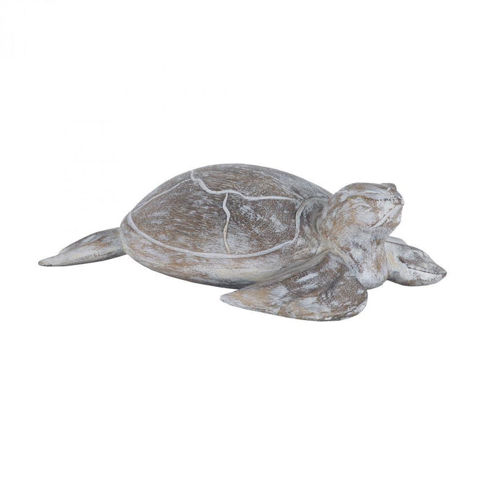 Sterling 7159-045 Galapagos Turtle White Washed Albasia Wood