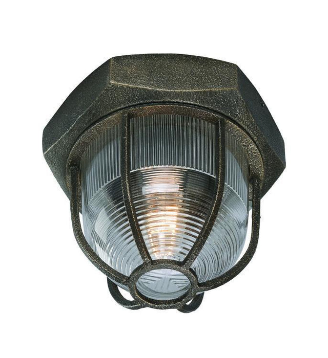 Troy Acme 1 Light Ceiling Flush Model: C3890