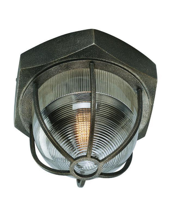 Troy Acme 1 Light Ceiling Flush Model: C3891