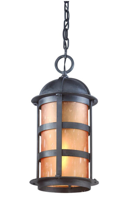 Troy Aspen 1 Light Hanging Lantern Large Model: F9255NB