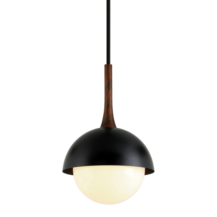 Troy Cadet 1 Light Pendant Model: F7644