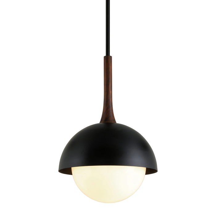 Troy Cadet 1 Light Pendant Model: F7645