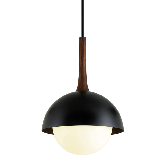 Troy Cadet 1 Light Pendant Model: F7646