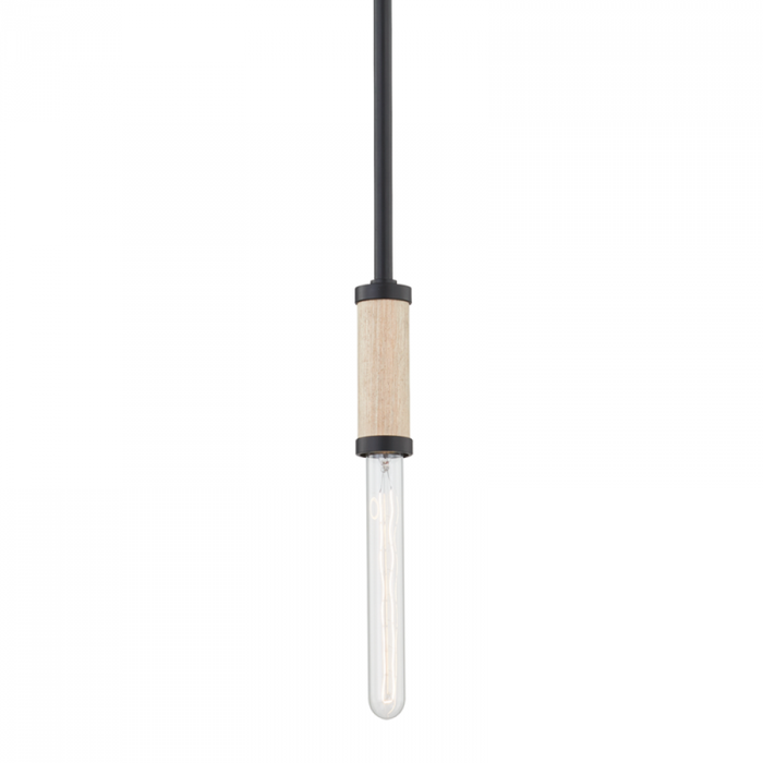 Troy Cruiz 1 Light Pendant Model: F6701-SBK