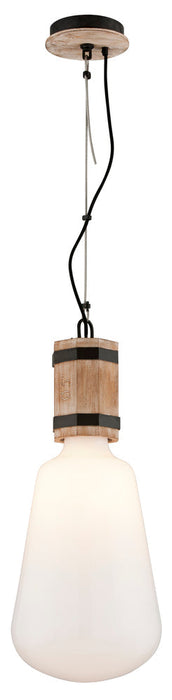 Troy Fulton 1 Light Pendant Model: F4553