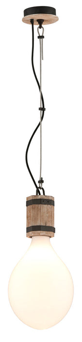 Troy Fulton 1 Light Pendant Model: F4555