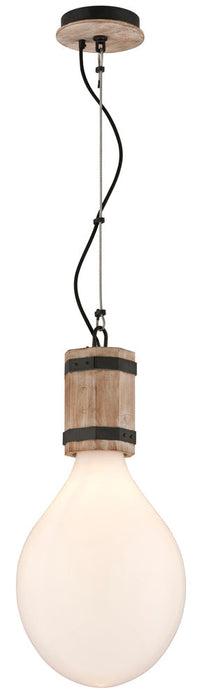 Troy Fulton 1 Light Pendant Model: F4556