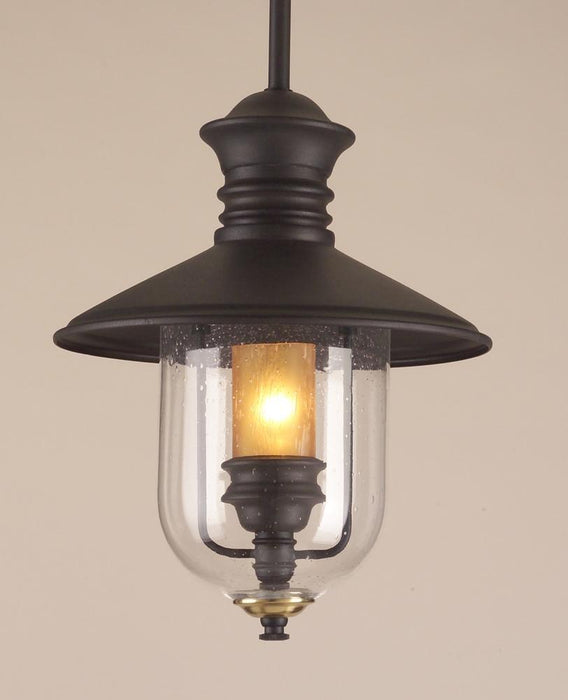 Troy Old Town 1 Light Hanging Lantern Large Model: F9363NB