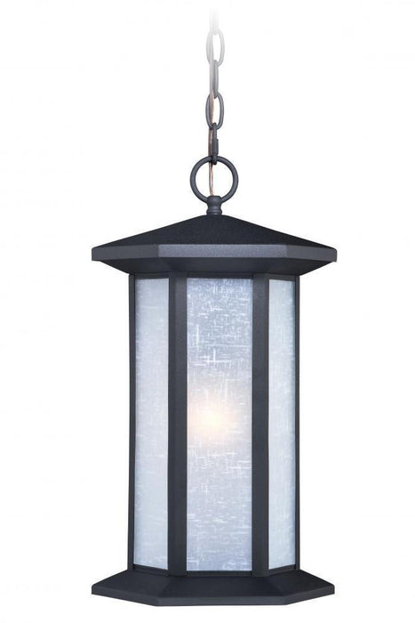 Vaxcel Halsted 10 Inch Outdoor Pendant Model: T0223